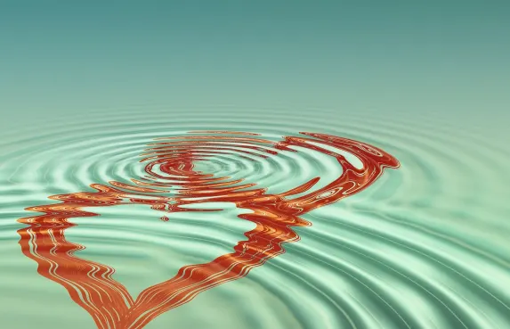 High Bet Casino Support